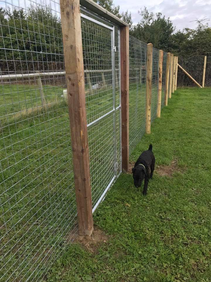 1236 3bedcc8810018bd16863144491f2a79a 1