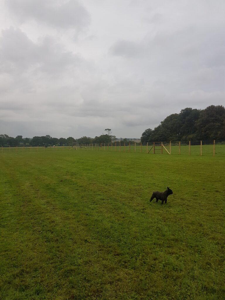 1236 6827b24acc413dea0c45be88b3e20e1d 1 768x1024