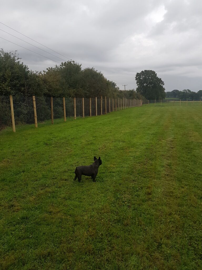 1236 8398da8eb1b7e1fb6d11b56553a79f2b 1 768x1024