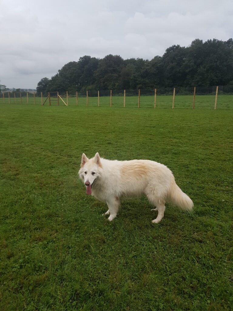 1236 84a4fd69f1a5d08d60009a78b76f72b3 1 768x1024