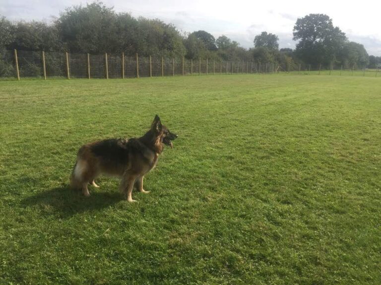 1236 8b12de26a0c98b2fdd7c2f41bf1e78c0 1 768x576