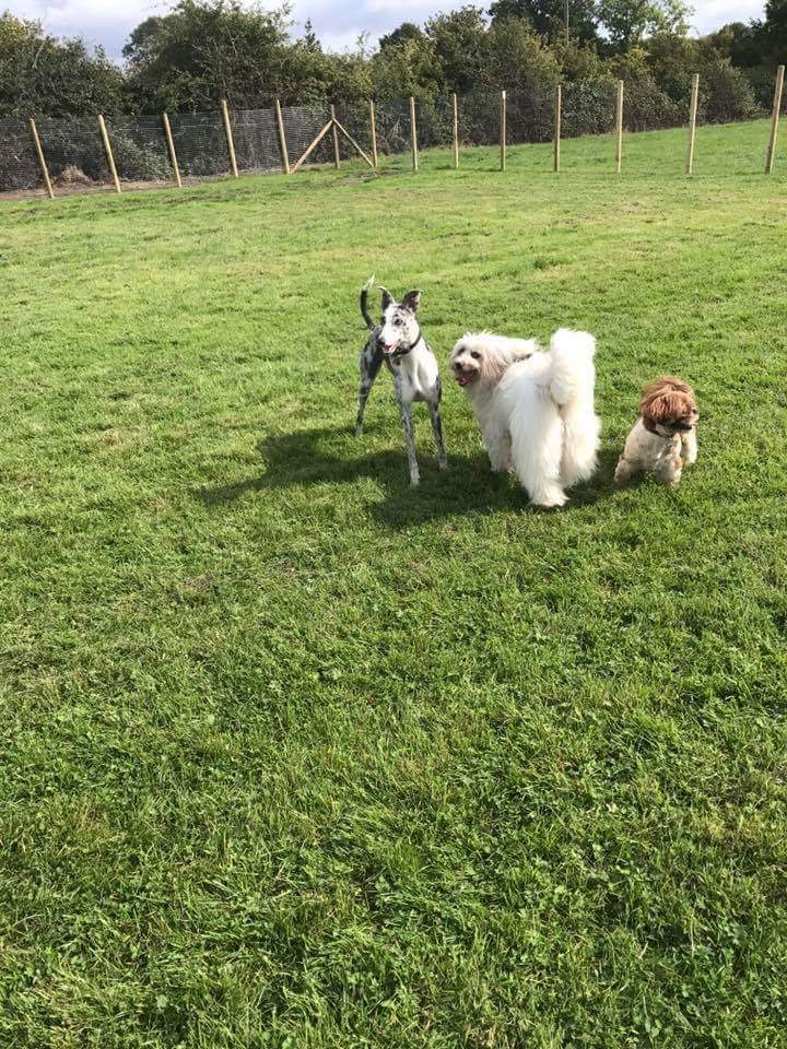 1236 bb3b38a64634b2cfe5fccc18764ed861 1