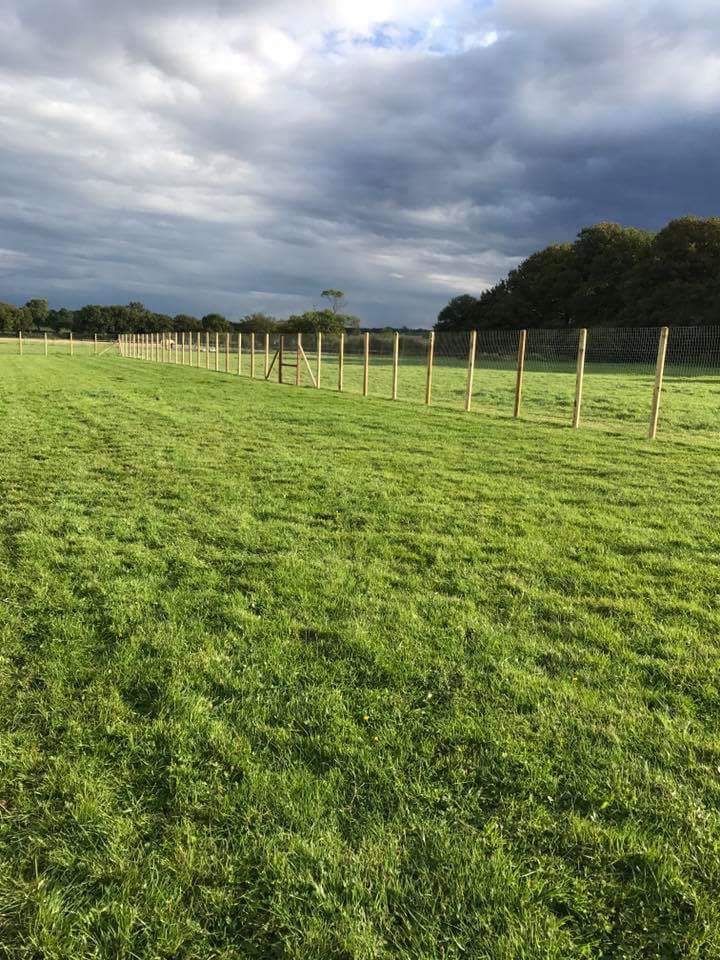 1236 e1f2dae69a709f3d36ee0883c061fc59 1