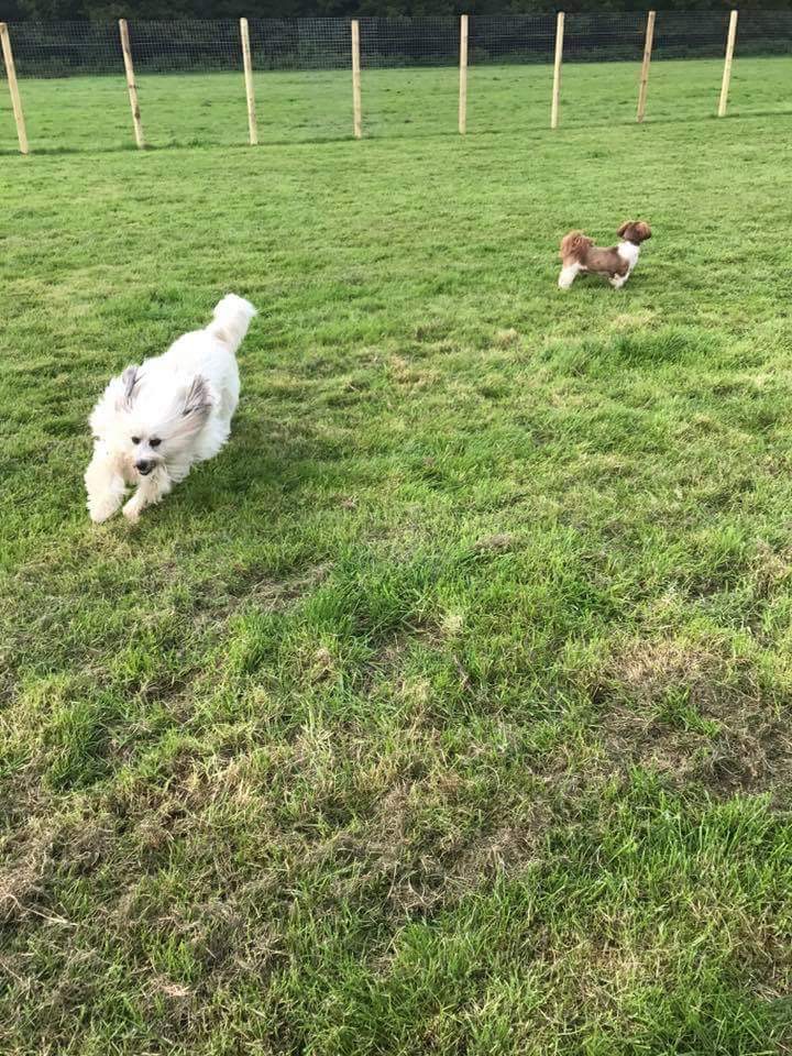 1236 e6f0ab08ffa2ff256646d31c7b6473df 1