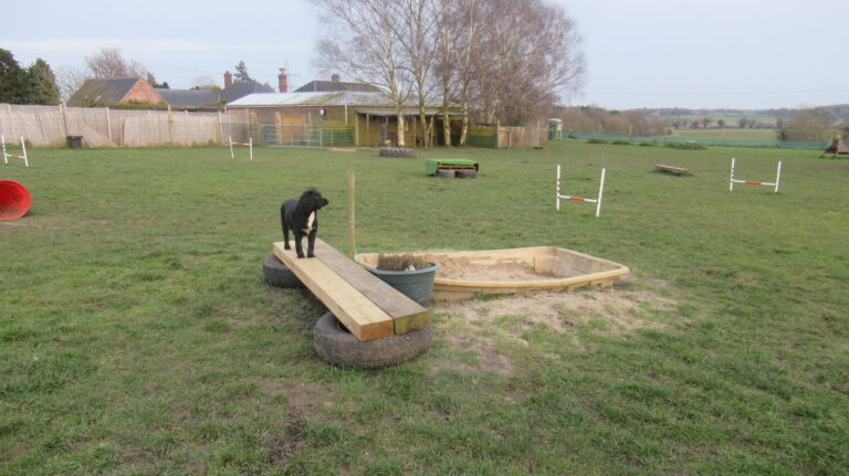 1240 077a8261d897b8972444d608d2e9417c 1 768x431