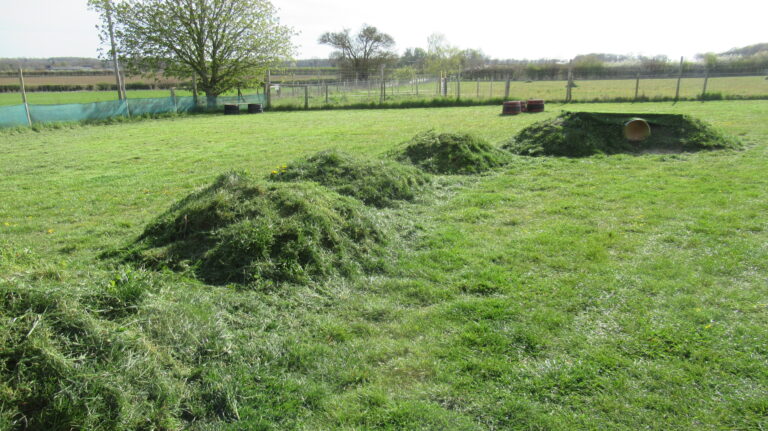 1240 0785e843130f6a84f7fec63a73e28279 1 768x431