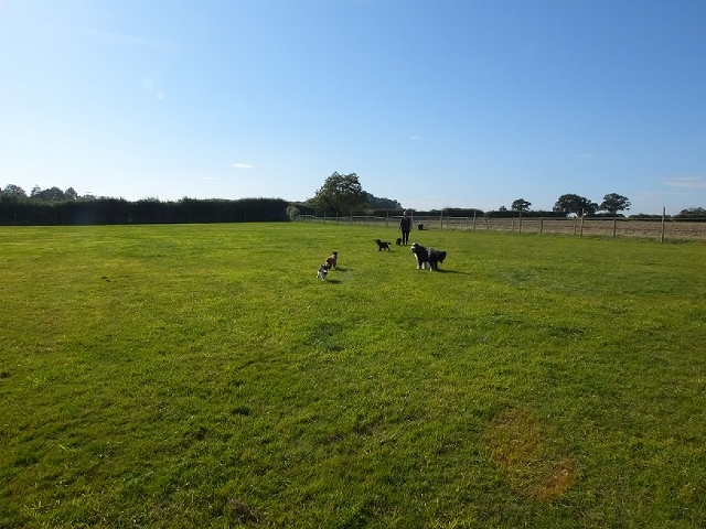 1240 1ee1b8aa6442dccedf4fdcbc1e052632 1