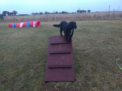 1240 2389bb0df9ab18f502828c6e3f9e612a 1