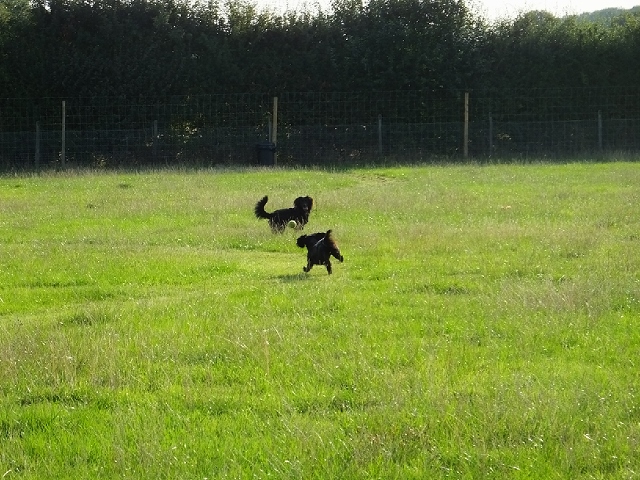 1240 470a291717e6d3b07875aa887e0fb9f3 1