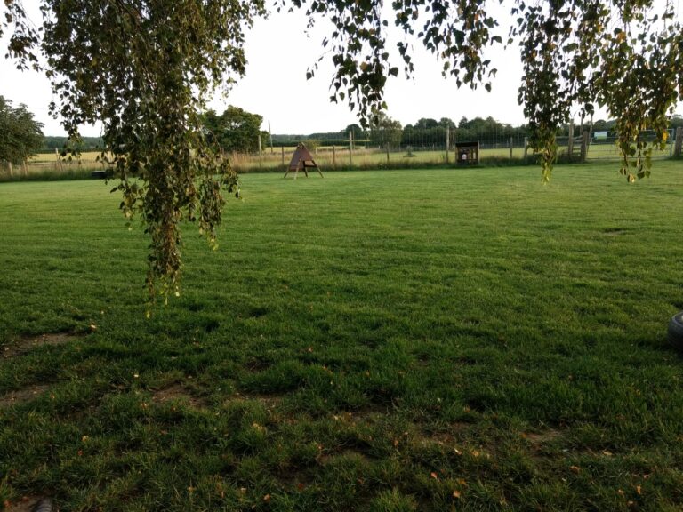 1240 4a50150bedbeaf4ee39e9d9eab992462 1 768x576