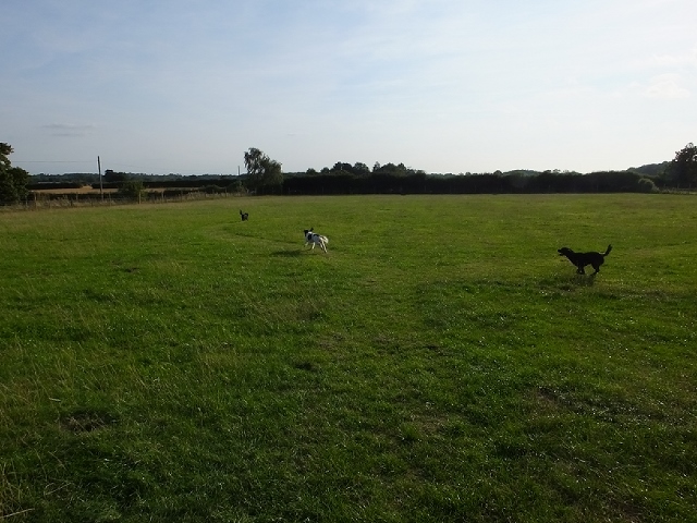 1240 531dbfe5471af43875ddde300d1194ad 1