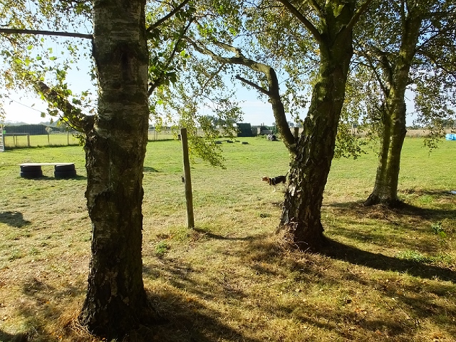 1240 53657b76d37268d148b83000a03cc76b 1