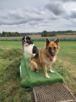 1240 5c9693839be4ac2a7de19e1e53ac08fa 1