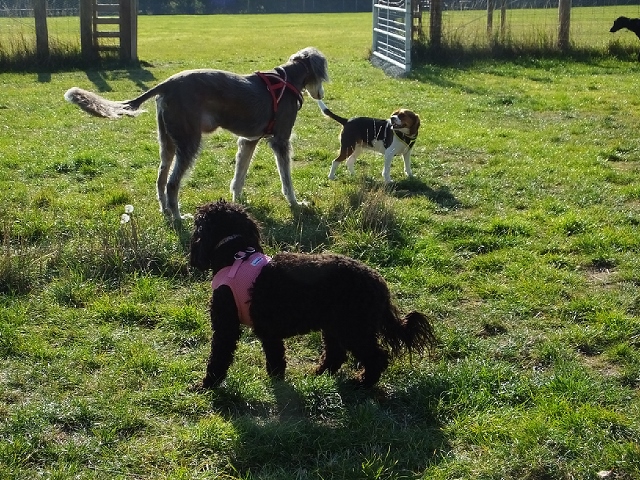 1240 60c0d7a31d62ded976ebcdd2a7773895 1