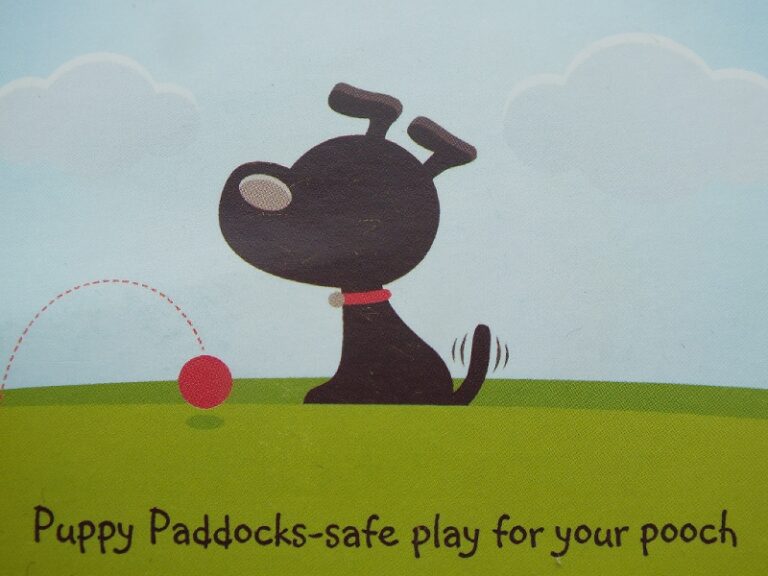 1240 64c27dcabe51397d81c84939af6dcbad 1 768x576