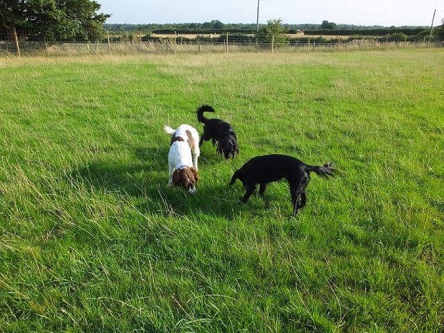 1240 709c8430d7f130629e4bac17c13d0435 1