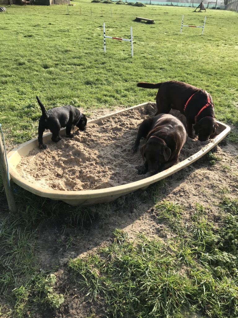 1240 881a419b198ba6f6d42aa98cfada22c9 1 768x1024