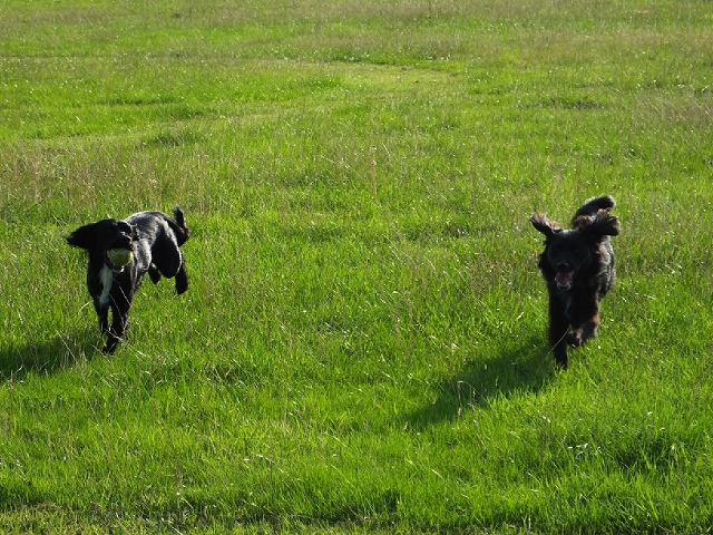 1240 90a627c34fd547630b03b2423ec4f076 1