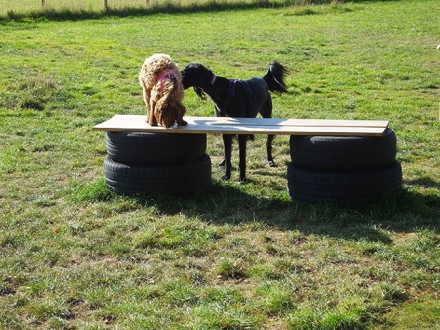 1240 929bea18072149e8c4e593433ad6d112 1