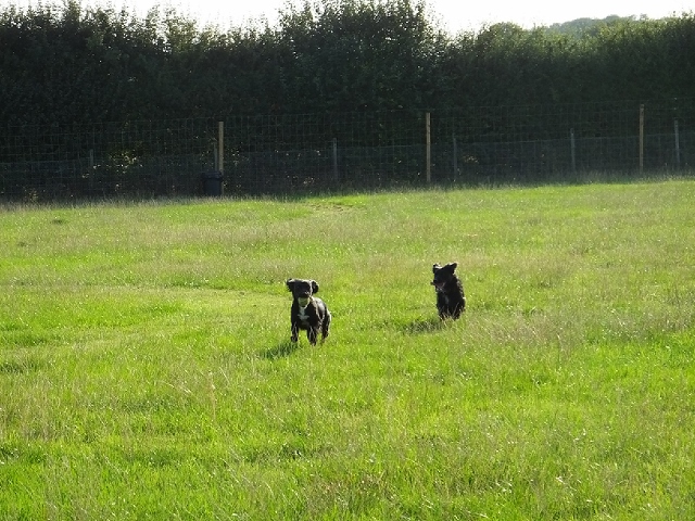 1240 99083840e8fd3d93a0856f59e9dcb0c0 1