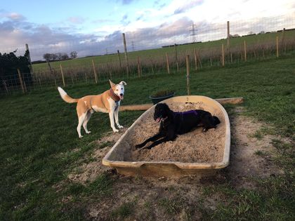 1240 99fac63da6773ec74e167802c7c1e9aa 1