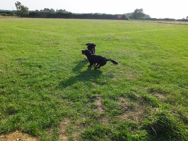 1240 a8ada0ec4a4aad0236b17ea842a807e0 1