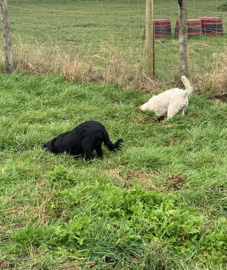 1240 b75aa45e58391e21ef96463df110e54e 1 768x914