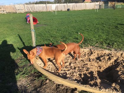 1240 bbc2538fc63c15f49dd9d07be7c82e9f 1