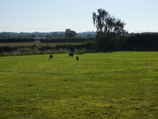 1240 c6fc2e5c36fb276aa9ee24766e4f5535 1