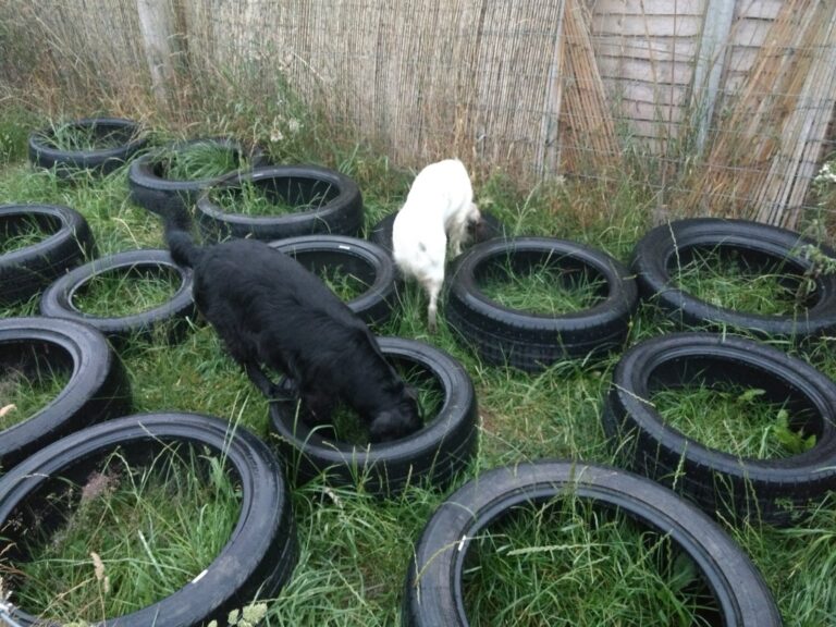 1240 ce4e8363f7bfbae42dde39bd7936e1e6 1 768x576