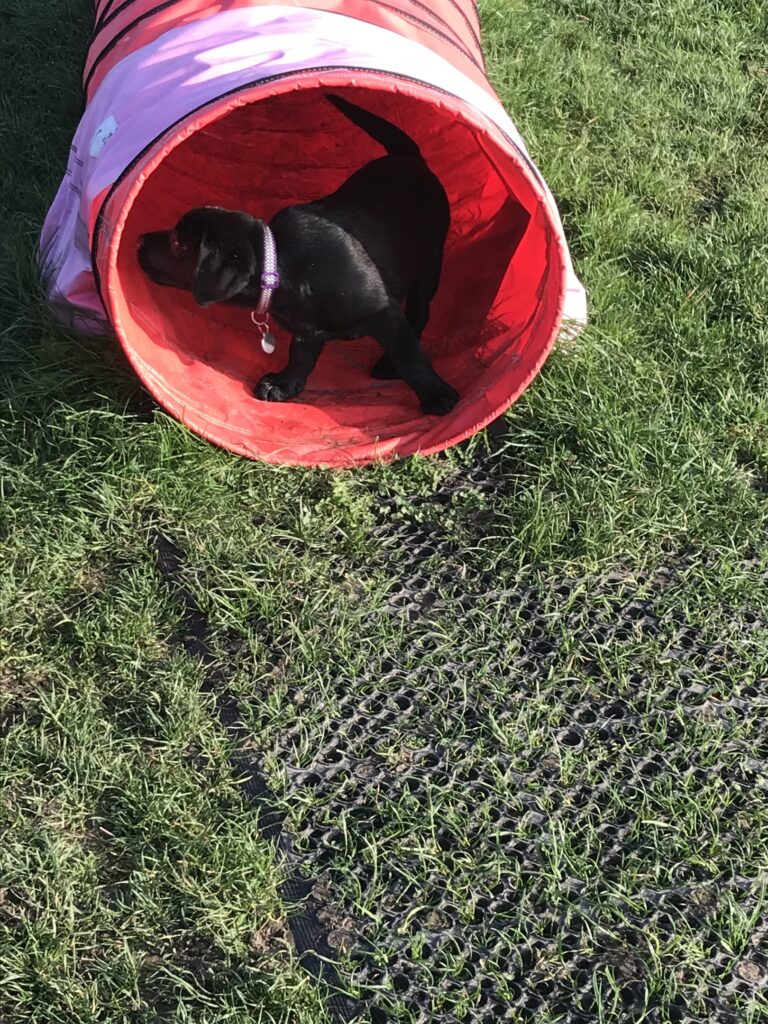 1240 d283c57e53e8c14e207eeb0a7118ec3f 1 768x1024