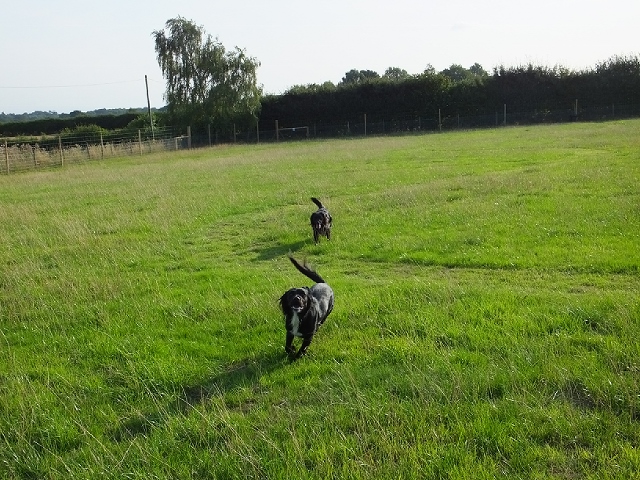 1240 d38bb47b06319181be9ac340f07d841e 1