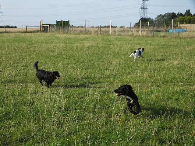 1240 e3d24ace8c133821f7cf1d5d15fe7e0d 1