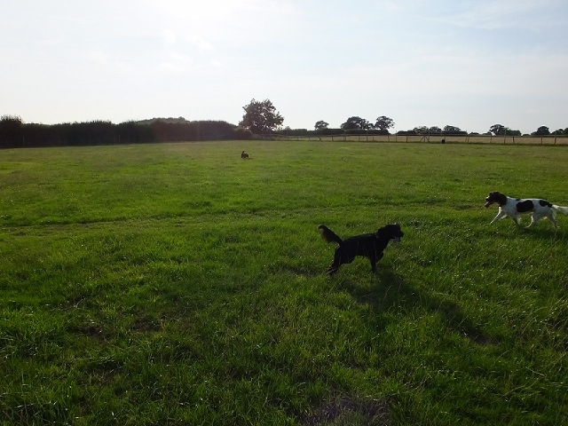 1240 eeeb4b975ebc9aa522ace302fd07d419 1