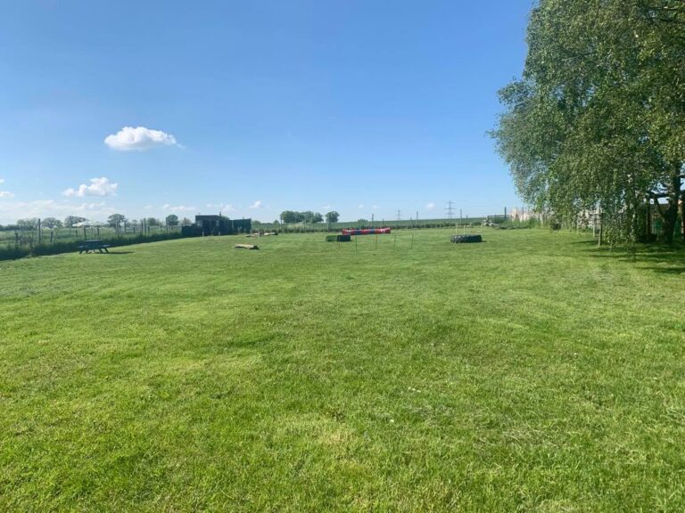 1240 f367eb179b9752a241722133d8ec291c 1 768x576