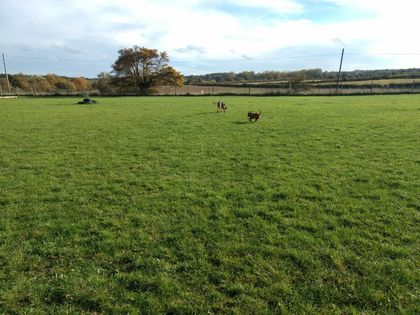 1240 f8d7907a645e71b6839af2c1dc3a25ae 1