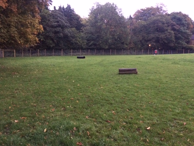 1241 2b16c47fe4e844cf5782e60f542e9293 1