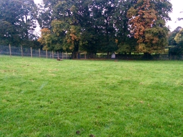 1241 4e3efde0cf619eacd4a68a00f9f9faf5 1