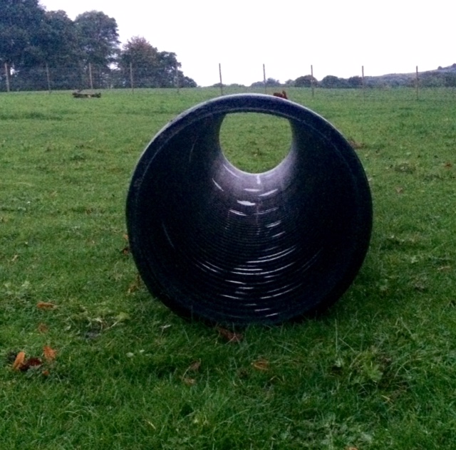 1241 9632d388ff4d17d8dc6fc4c7ae1b2d7e 1