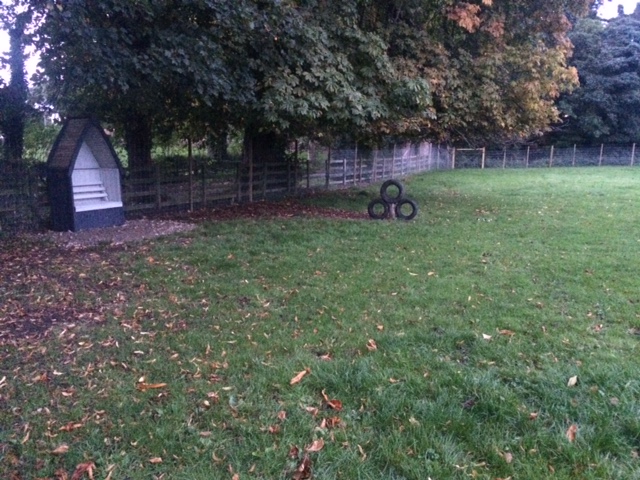 1241 ac69391a1f5580f46435a5499db90d4c 1