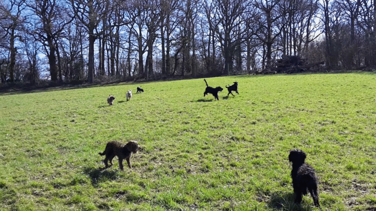 1245 25862d3ed19ee9815cd9f158391b2cbc 1 768x432