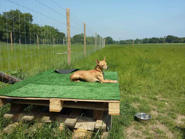 1245 523a57a5ced6a60b7faa9739d00a063d 1 768x576