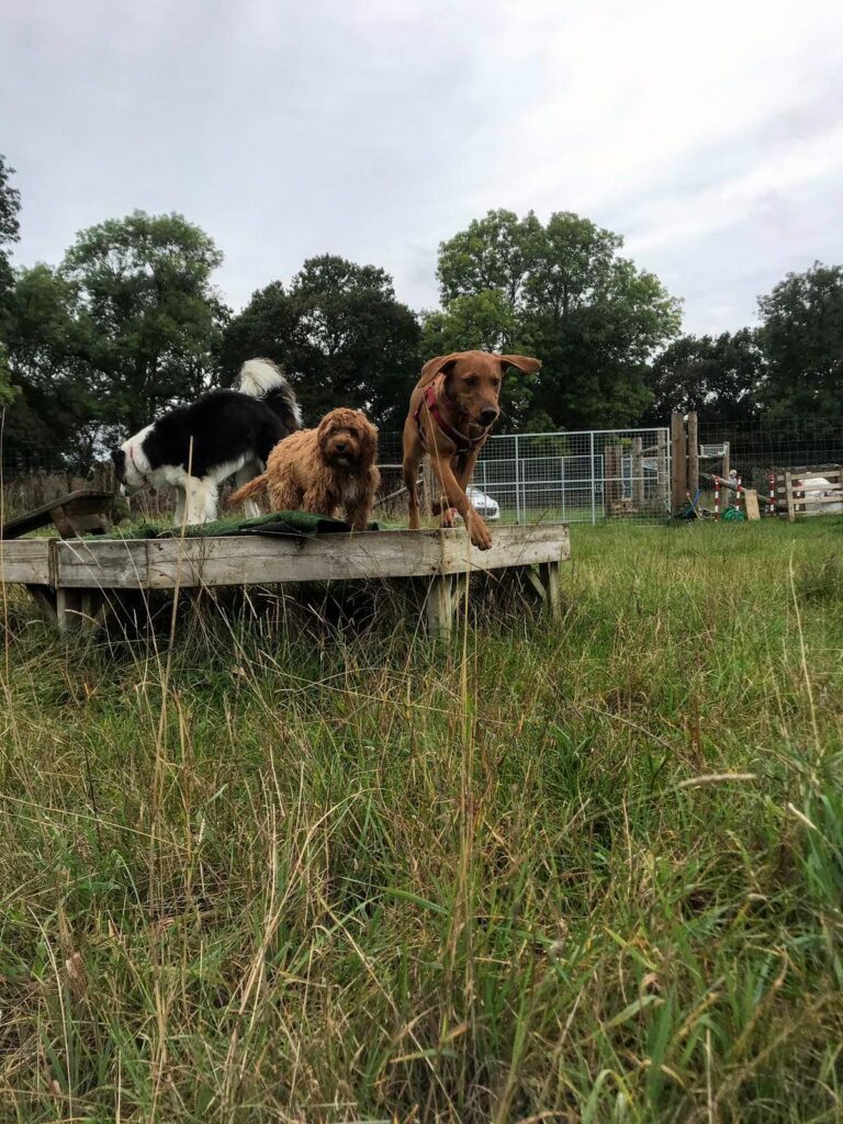 1245 61eadd99da13fae0bbe7675c699def67 1 768x1024