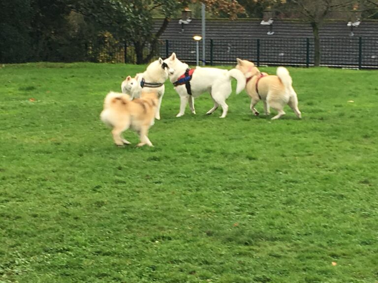 1248 1d8adb3ab828a75a1888cf6c0efce788 1 768x576