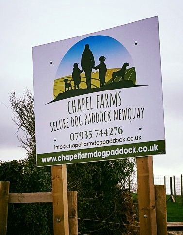 1250 cc3bca8c3d33c2abd2e7a864e9d74694 1