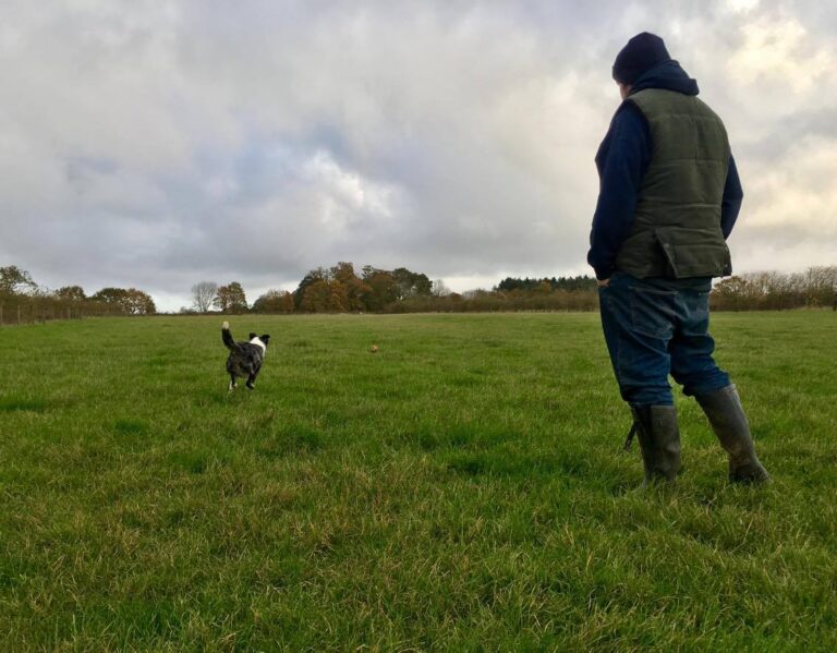 1251 1e96fdf523e1829ab36b596845256480 1 768x599