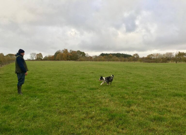 1251 50e30ba50eff0f2f3b8cbf27dc50254b 1 768x558