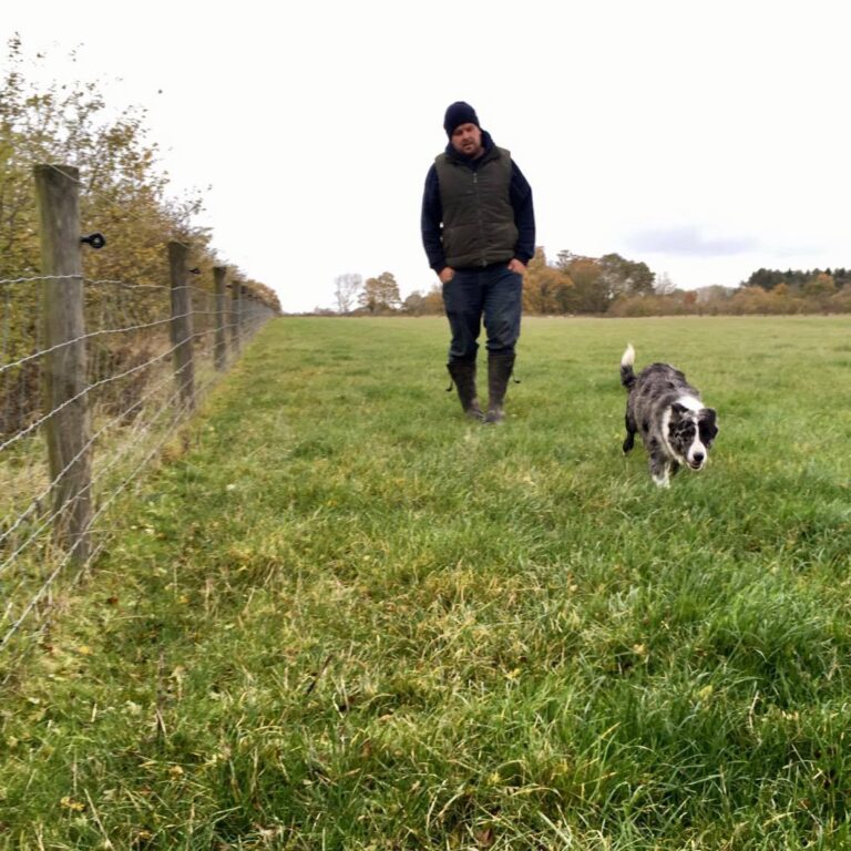 1251 fceea30be9a8a9e3ec26f1337eabea80 1 768x768