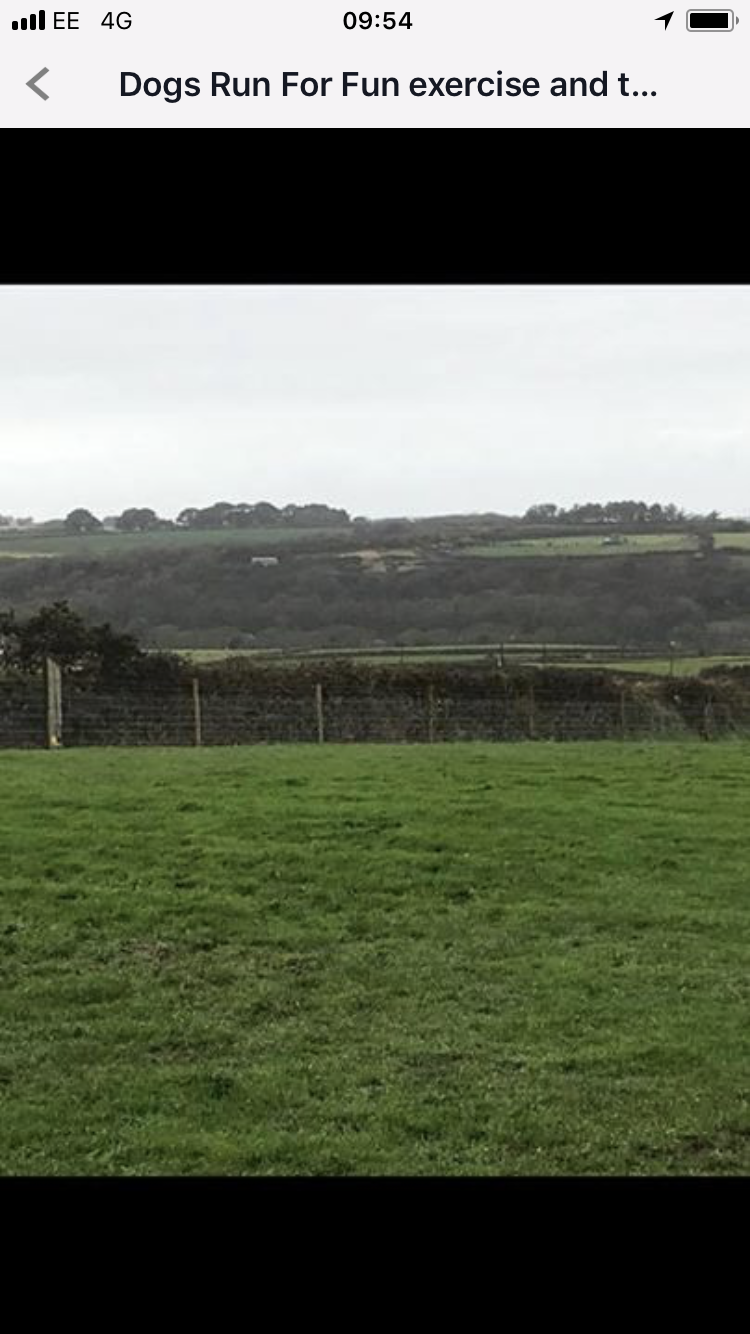 1253 2e6b178632e49800ed429a0ca2ef1f00 1