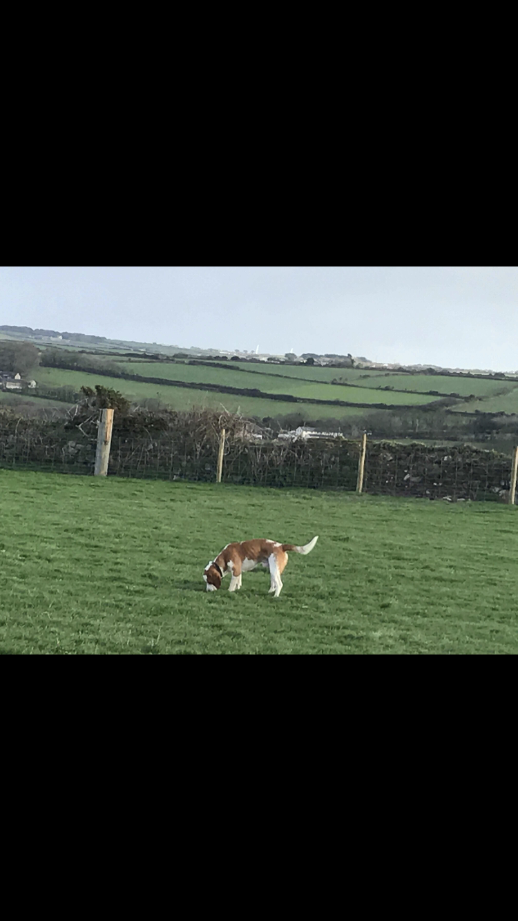 1253 a7163fcd5b3f7b3a925c951d0319fefd 1